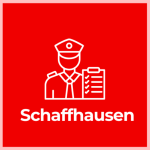 Customs Declaration Service - Schaffhausen