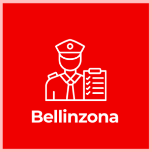Customs Declaration Service - Bellinzona