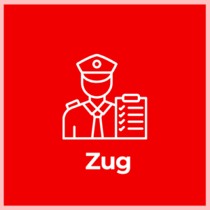 Customs Declaration Service - Zug