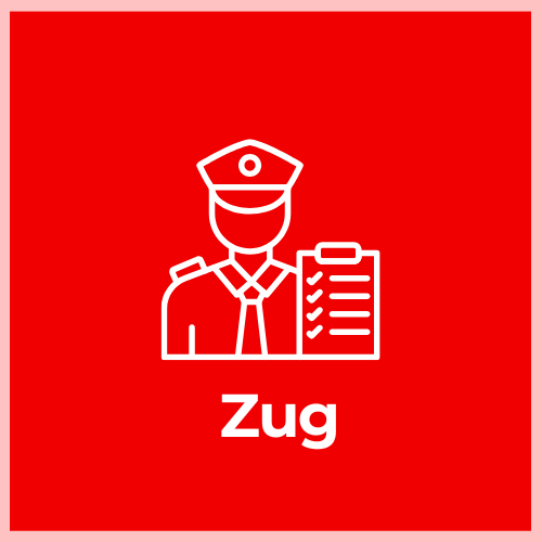 Customs Declaration Service - Zug