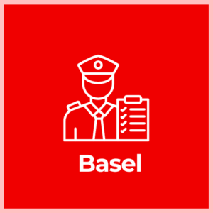 Customs Declaration Service - Basel