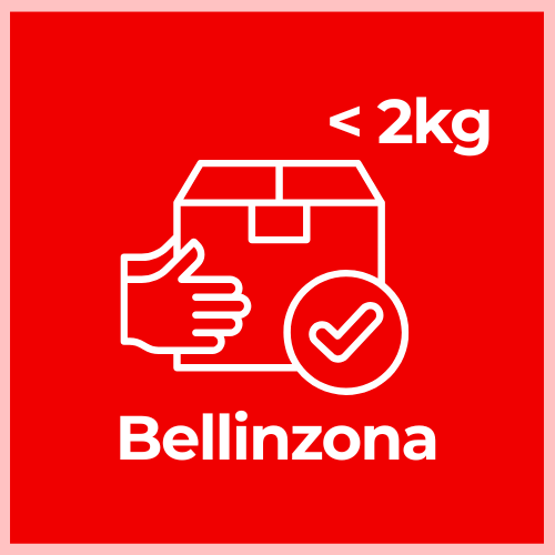Receive Package less than 2kg – Bellinzona