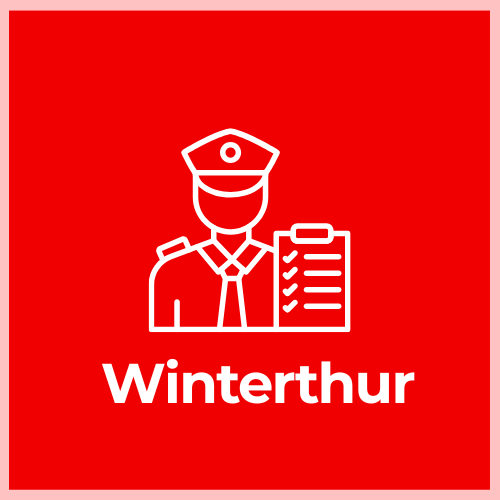 Customs Declaration Service - Winterthur