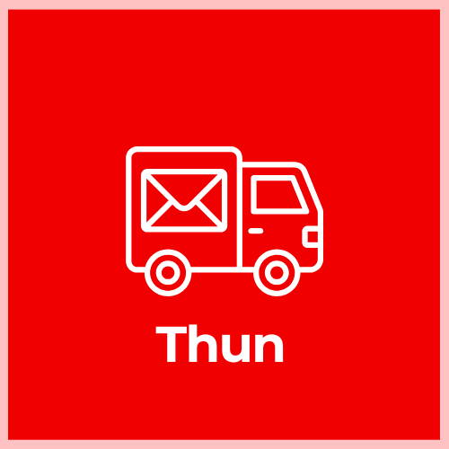 Domestic Express Shipping - Thun