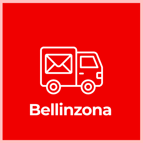 Domestic Express Shipping - Bellinzona